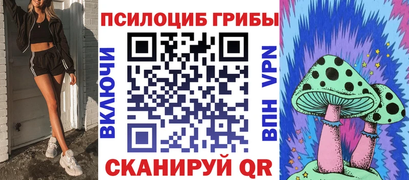 Псилоцибиновые грибы MAGIC MUSHROOMS  кракен как войти  Приморско-Ахтарск 